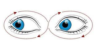 Tipos de Ejercicios Oculares